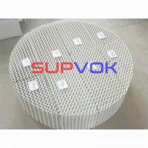 Special Ceramic Chemical Tower Packing