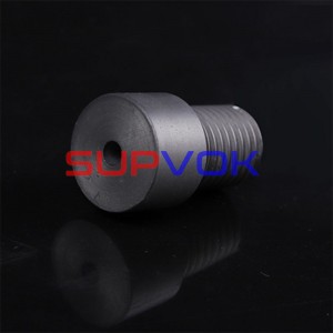 Silicon carbide ceramic bolts